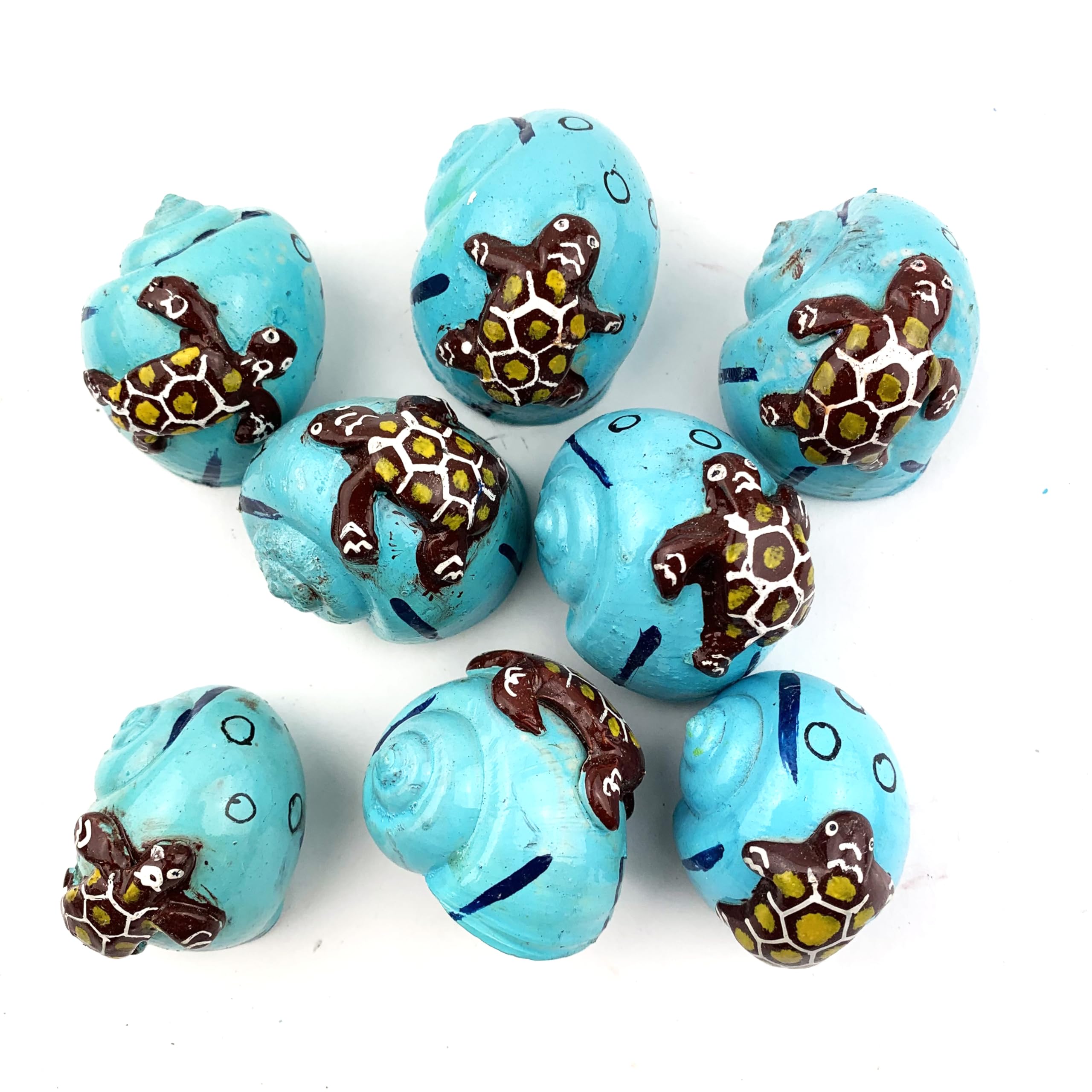 Amazon.co.jp: Worlds 8ピース 塗装済み 3D カメ ヤドカリ 貝殻 航海